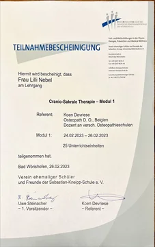 Craniosacrale Therapie – Modul 1